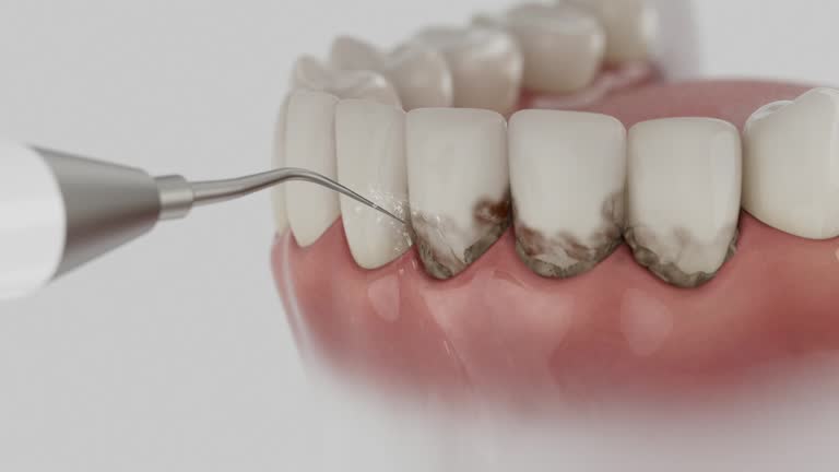 Reliable Dental contractor in Joppatowne, MD by Dentist Open Now